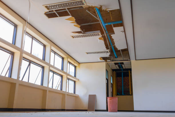  Oak View, CA Water damage restoration Pros