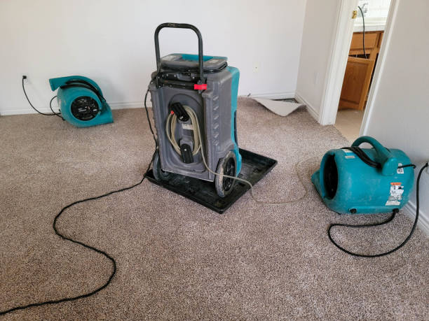 Best Water damage restoration experts  in Oak View, CA