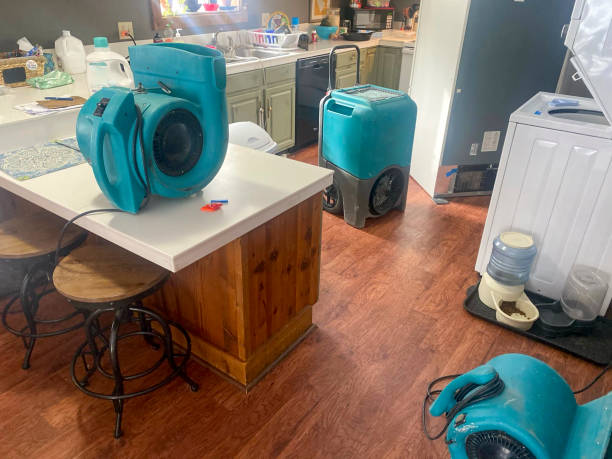 Water damage restoration mold remediation in Oak View, CA
