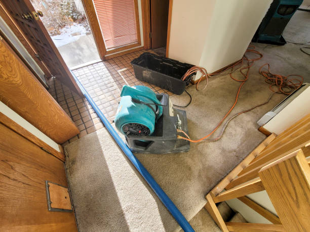 Best Water damage restoration near me  in Oak View, CA