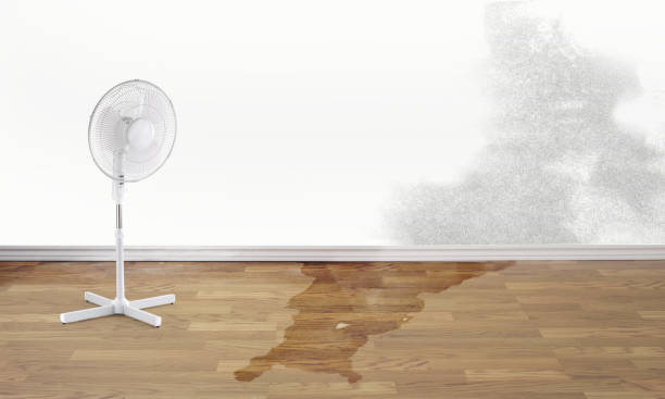 Water damage restoration mold remediation in Oak View, CA