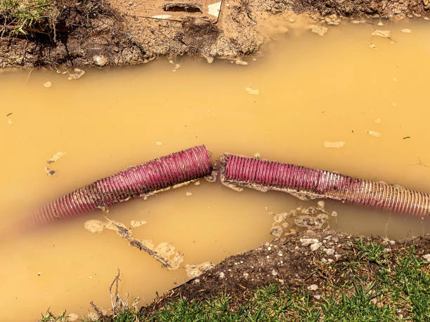Best Carpet water damage restoration  in Oak View, CA