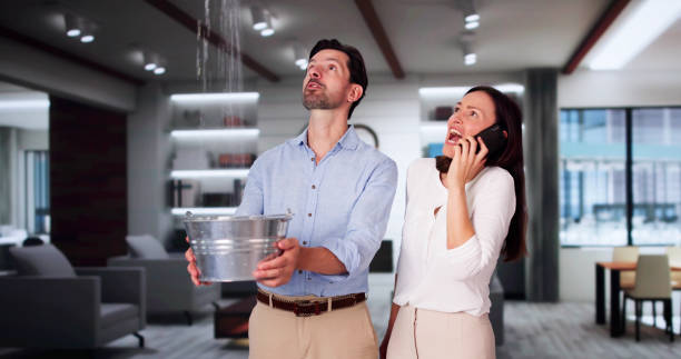 Best Water damage contractors near me  in Oak View, CA