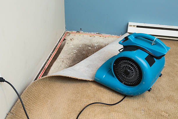 Best Sewage cleanup and water damage restoration  in Oak View, CA